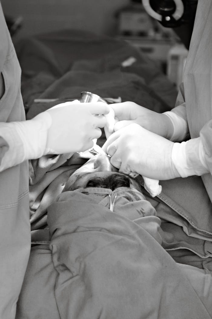 services-03 Doctors performing surgery with precision and care in a hospital setting.